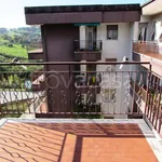 Rent 6 bedroom apartment of 139 m² in Ancona