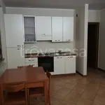 Rent 1 bedroom apartment of 35 m² in Gallarate