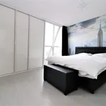 Rent 3 bedroom apartment of 77 m² in Rotterdam