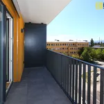 Rent 2 bedroom apartment of 49 m² in České Budějovice