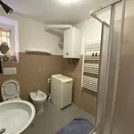 Rent 3 bedroom apartment of 60 m² in Roma