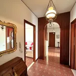 Rent 3 bedroom apartment of 90 m² in Novara