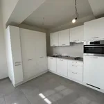  appartement avec 1 chambre(s) en location à Dendermonde