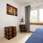 Rent 2 bedroom apartment of 50 m² in Berlin