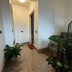 Rent 2 bedroom apartment of 50 m² in L'Aquila