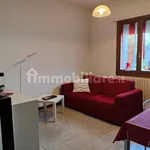 Rent 4 bedroom apartment of 90 m² in Bologna