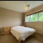 Rent 4 bedroom flat in Dacorum