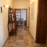 Rent 5 bedroom apartment of 100 m² in Livorno