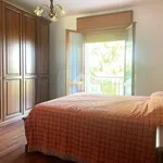 3-room flat good condition, Pianelli, Pavullo nel Frignano