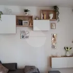 Rent 2 bedroom apartment of 55 m² in Perugia