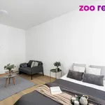 Rent 1 bedroom apartment in Praha 2