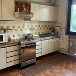 Rent 3 bedroom apartment of 120 m² in Padova