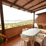 Rent 2 bedroom apartment of 49 m² in Olbia