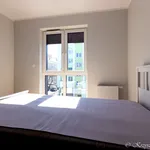 Rent 3 bedroom apartment of 58 m² in Toruń