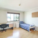 Rent 1 bedroom house in Brisbane City