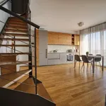 Rent 1 bedroom apartment in milan