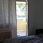 Rent 3 bedroom apartment in Ostrava