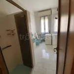 Rent 3 bedroom apartment of 75 m² in Bologna