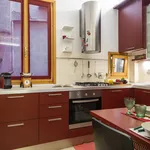 Rent 1 bedroom apartment of 50 m² in Florence