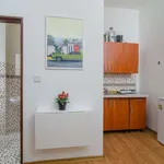 Studio o rozloze 17 m² v prague