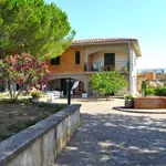 Rent 15 bedroom house of 651 m² in Gangi