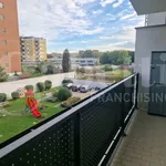 Rent 2 bedroom apartment of 68 m² in Milano