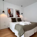 Rent 1 bedroom apartment in Coimbra