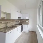 Pronajměte si 1 ložnic/e byt o rozloze 42 m² v Pilsen