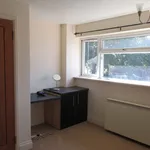 Rent 1 bedroom apartment in New Forest