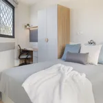 Alquilo 1 dormitorio apartamento de 20 m² en Granada