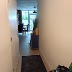 Rent 2 bedroom apartment of 55 m² in Noorderplein