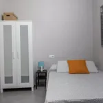 Rent 5 bedroom apartment in Valencia