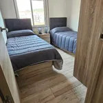 Alquilar 6 dormitorio apartamento en barcelona