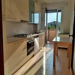 Rent 4 bedroom apartment of 130 m² in Padua