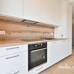 Rent 2 bedroom apartment in Brno