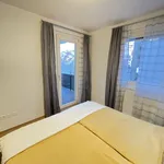 Miete 2 Schlafzimmer wohnung von 55 m² in Vienna