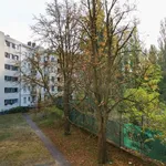 Rent 1 bedroom apartment of 75 m² in berlin