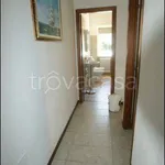 Rent 3 bedroom apartment of 64 m² in Ameglia