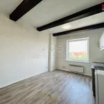 Rent 1 bedroom apartment of 26 m² in Prostějov