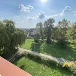 Rent 1 bedroom apartment of 38 m² in Hradec Králové