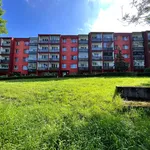 Rent 1 bedroom apartment in Karviná