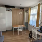 Rent 1 bedroom apartment of 34 m² in Prague