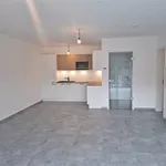 Rent 2 bedroom apartment in NAMUR