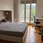 Rent 3 bedroom apartment of 80 m² in Turin