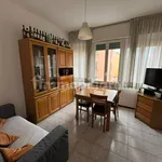 Rent 2 bedroom apartment of 50 m² in Bologna