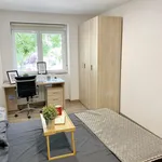 Alquilar 7 dormitorio apartamento en Madrid