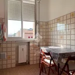 Rent 3 bedroom apartment of 100 m² in Ferrara