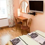 Rent 2 bedroom apartment of 55 m² in Wien