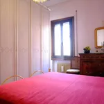 Rent 1 bedroom apartment in Rome