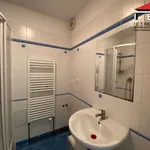 Rent 1 bedroom apartment in Brno